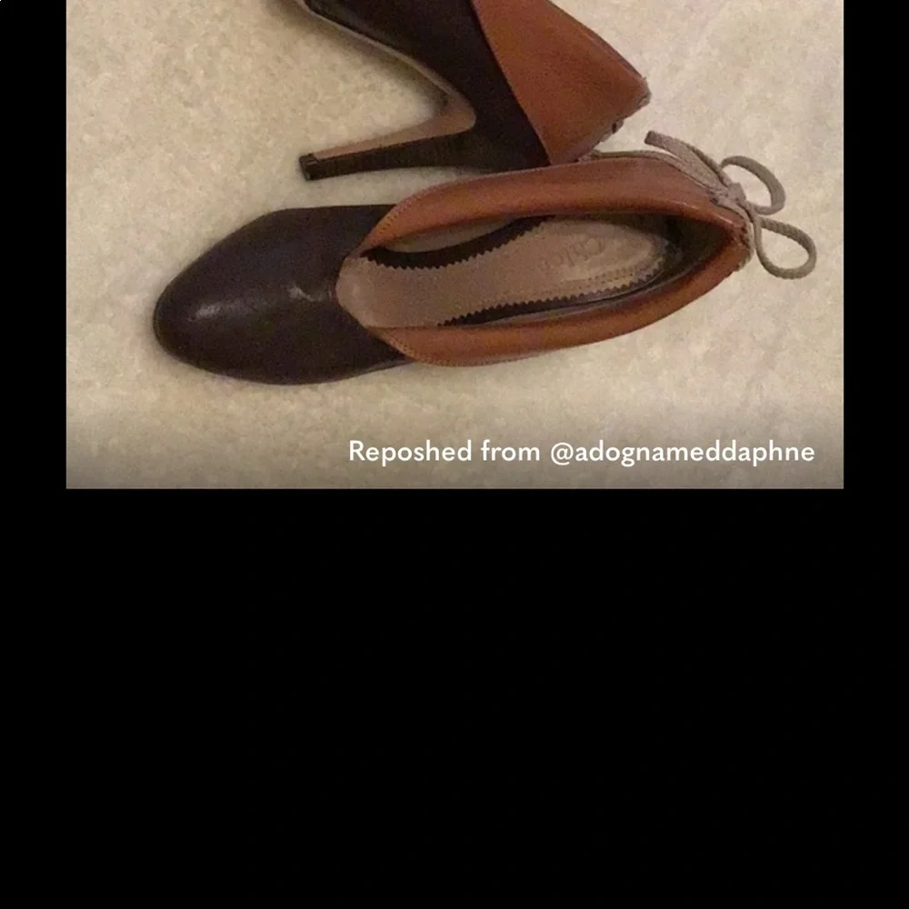 Gina Rutledge - Picture 4 of 4